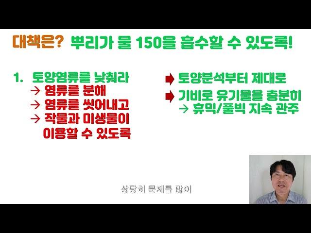 봄에 잘 크던 작물이 초여름부터 낮에 축 처지면 어떻게 해야 할까요? 낮에 처지고 밤에 생생하다면 십중팔구는염류장애 연작장애로 인한 문제입니다