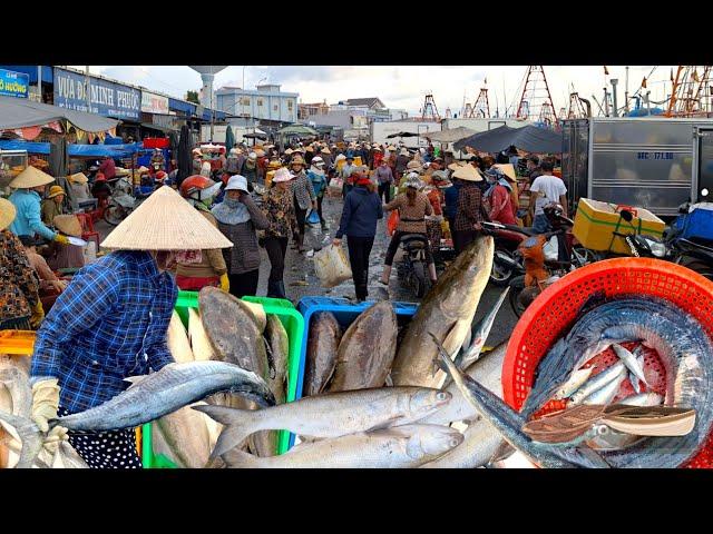 tens of tons of seafood, Vietnamese fishing port market, shrimp, fish, squid.