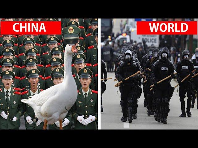 23 Amazing Facts of the world | Mind blowing Facts