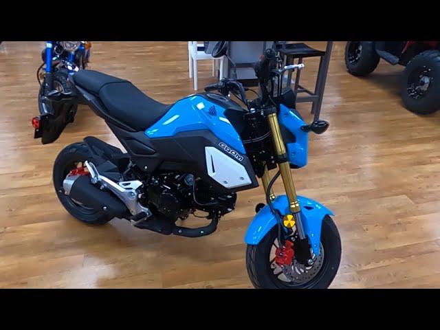 2019 HONDA GROM - New Motorcycle For Sale - Greeley, CO