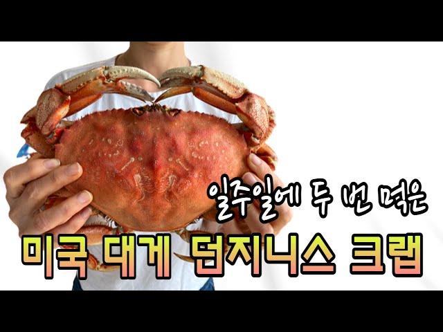 미국 대게 던지니스 크랩 2kg $22!!! 지금 먹으러 갑니다 |  Eating Dungeness crab at home