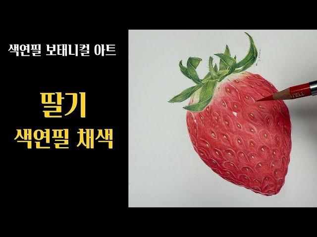 색연필기초/딸기/색연필 채색편/색연필 보태니컬아트 /초보자도 쉽게 그려보는 딸기!!/colored pencils botanical art