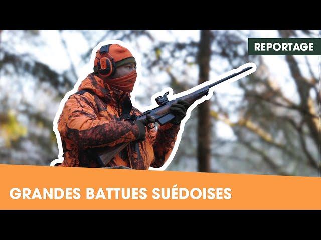 Chasse du grand gibier en battue