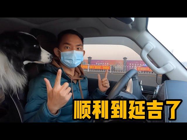 日常：阿龙半斤终于结束高速路生活，顺利抵达延吉，朝鲜族美食立马整起「Eng Sub」