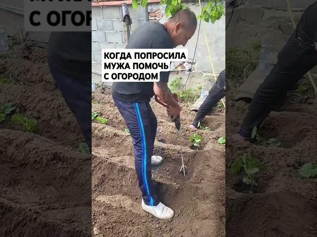 Муж и огород