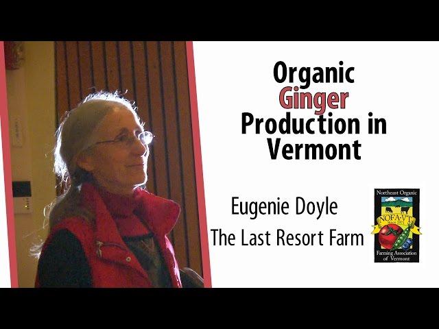 Organic Ginger Production in Vermont