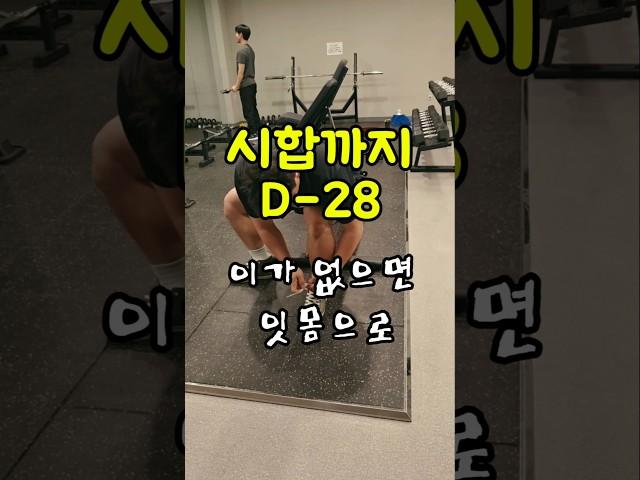 파워리프팅.시합까지  28일 남았네요...저는 이번시합때 3대.몇을.들까요? #데드리프트 #오운완 #powerlifting #동기부여 #파워리프팅 #스쿼트#파워리프팅코칭#건강
