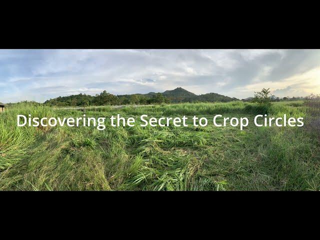 Discovering the secrets to crop circles