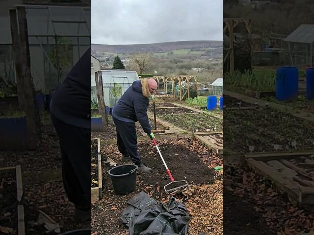 How to create a no dig bed! #gardening #nodig #shorts