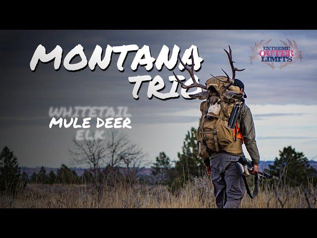 Montana Trio - Trophy Montana Mule Deer 4K.