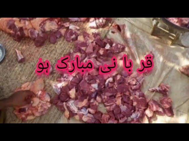 qurbani mubarak/Eid Mubarak what's app status/study and fun with Mantasha