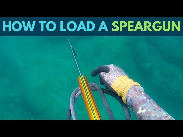 How To Load A Speargun The Right Way!(Hawaii Spearfishing Guide) GIVEAWAY WINNERS!!!