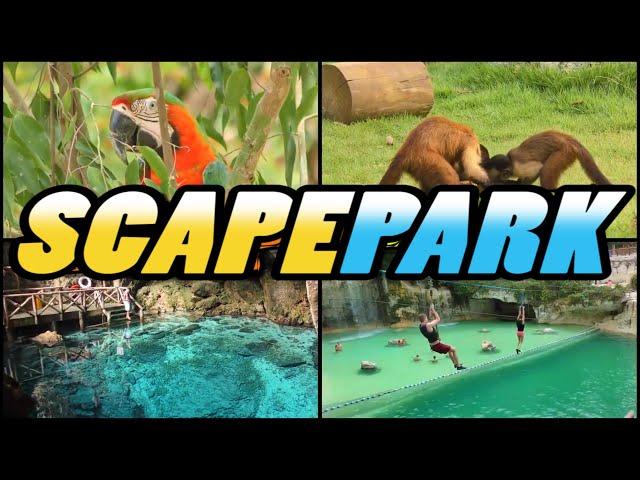 SCAPE PARK - Cap Cana - Dominican Republic (4k)