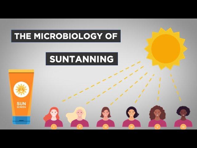 Evo-Ed: The Microbiology of Suntanning