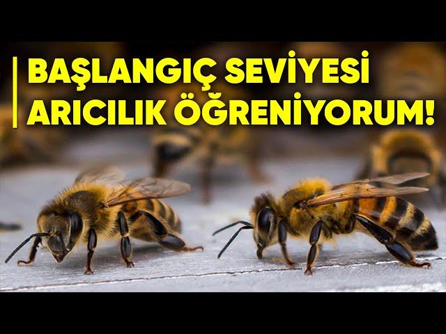 Arıcılık Eğitimi!  (Başlangıç!)