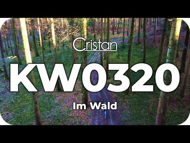 Im Wald ► KW0320