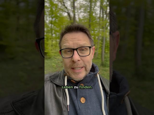 Nach einer Trennung solltest du Hilfe annehmen ️‍🩹 #trennungsschmerz #trennung