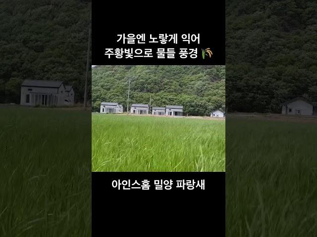 들판 한가운데 아인스홈 파랑새ㅣ아인스홈경남ㅣ아인스홈밀양ㅣ아인스홈해바라기