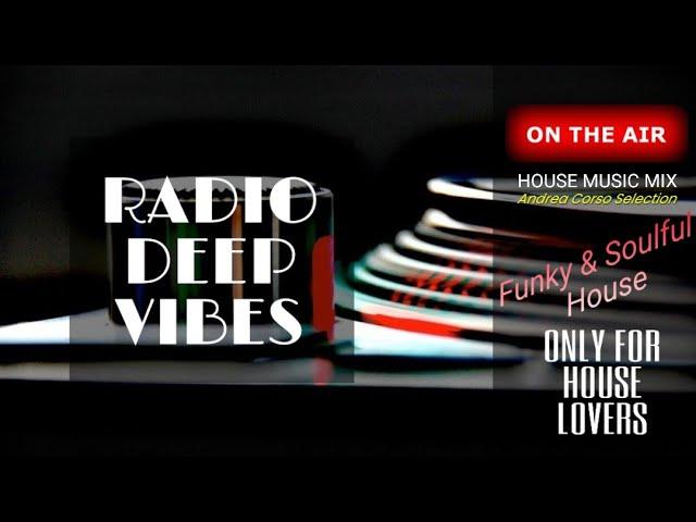 Radio Deep Vibes   House Music     Funky and Soulful