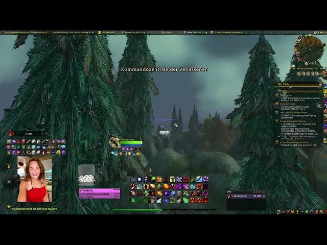 Let's Play World of Warcraft NenaMagdaLena Chill & Relax & Goodvibes gemütlich questen Silberwald