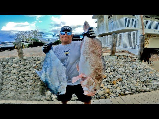 Dropping Live and Cut Bait on the BEST Underwater Ledges in the Gulf of Mexico *Catch, Clean & Cook*