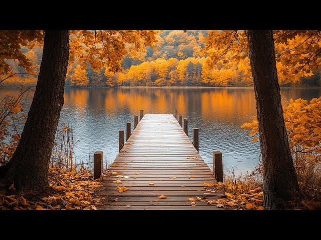 October Autumn Scenery with Peaceful Relaxing MusicInstant Relief from Anxiety & Stress ~ Healing