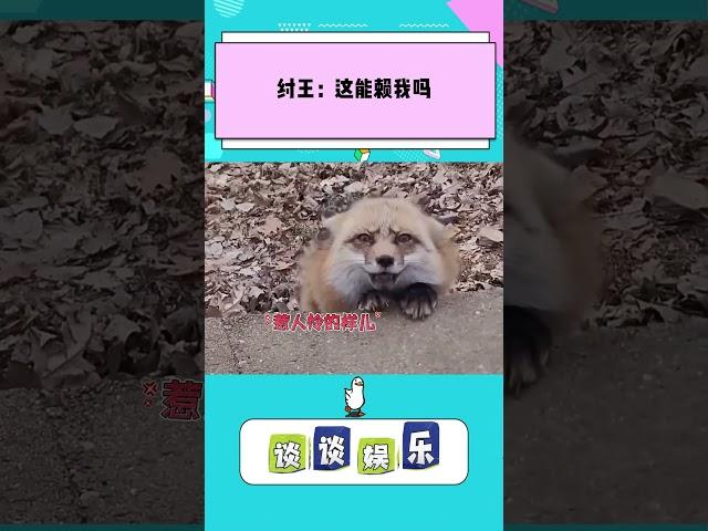 纣王：这能赖我吗