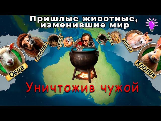 Инвазивные животные: Кто уничтожает экосистемы планеты?