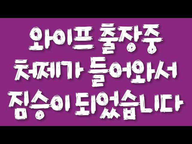 와이프 출장중 처제가 들어와서 짐승이 되었습니다/실화사연/드라마사연/라디오사연/사연읽어주는여자