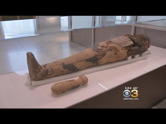 Inside Look At Penn Museum's New Ancient Egypt Display