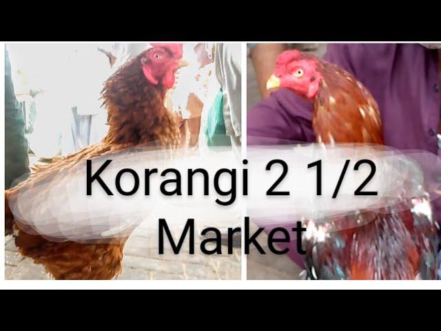 murga mandi korangi no 2 1/2.karachi market#sadermarke#habibtv#aseelmurga #aseellover#korangimarket