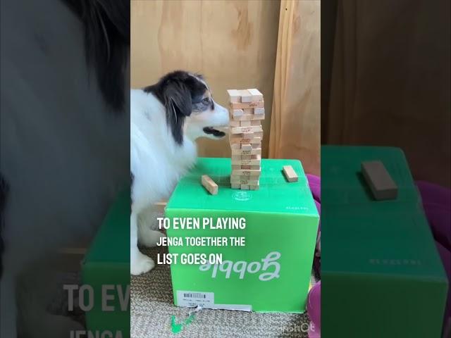 One of the smartest dogs ever ️