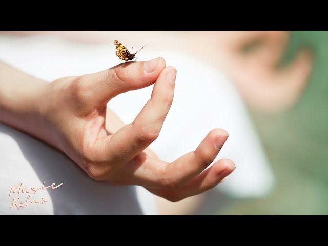 Sleep Better & Relax: Healing Sounds for the Soul 2025