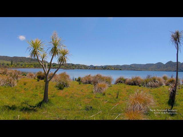 4K Lakes Okareka, Tarawera, Rotokakahi, Tikitapu NEW ZEALAND ニュージーランド 紐西蘭 Part 18