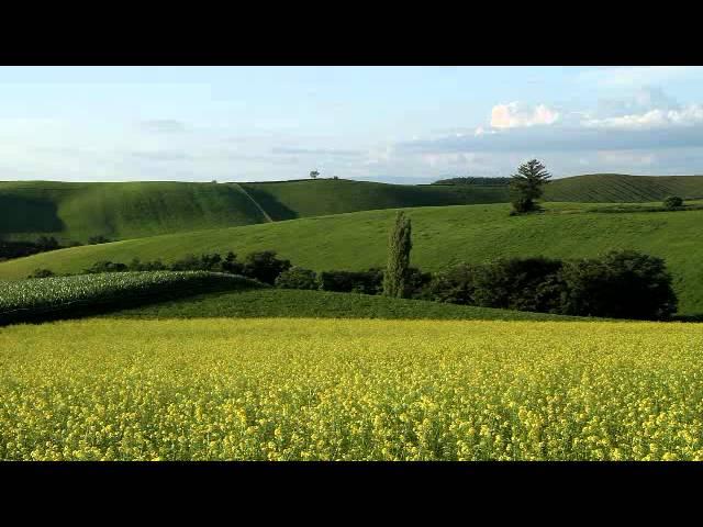 北海道　美瑛の田園風景 - Views of wide fields and hills in Biei, Hokkaido, Japan