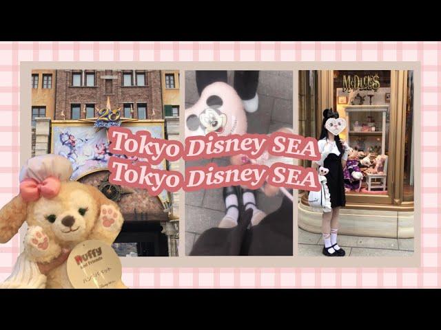 (ディズニーvlog)アトラクションメインでディズニーを楽しむ