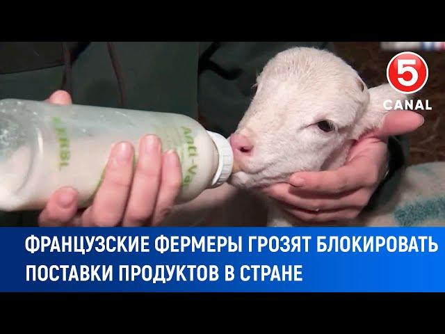 Французские фермеры грозят блокировать поставки продуктов в стране