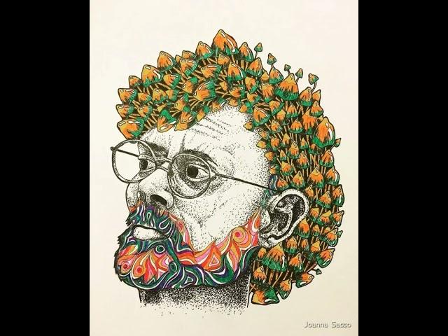 Terence McKenna - True Hallucinations - 19 - The Hawaiian Connection - 1984