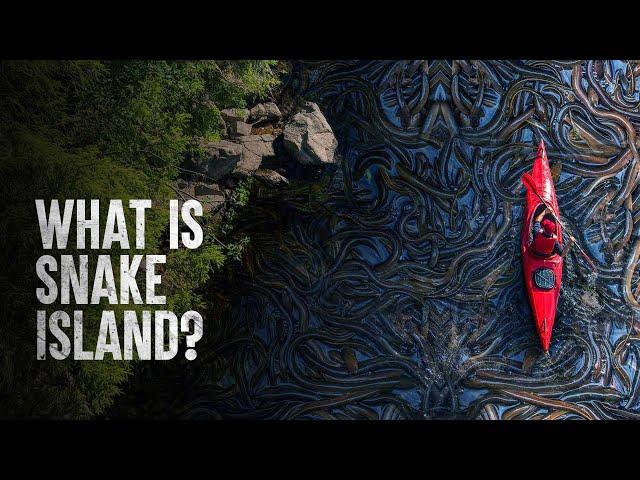 How to Survive Snake Island