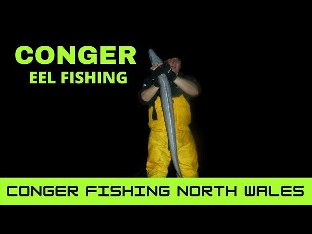 Conger fishing - sea fishing Anglesey.