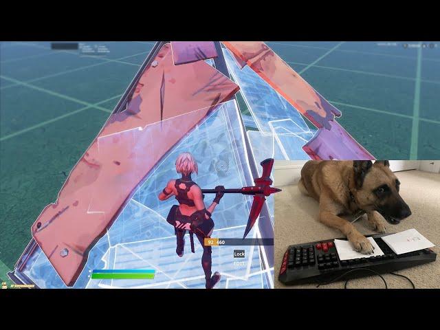 I taught my dog how to edit in fortnite...