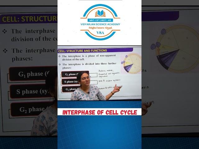 Biology | Interphase of cell cycle   #biology #biologyshorts #boardexam2025