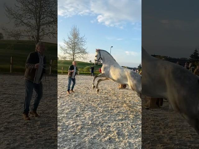 That was so great! #equestrian #family #model #photoshoot