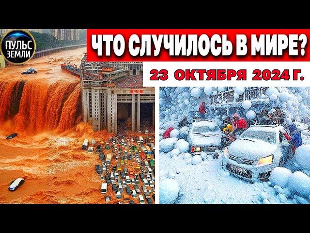 Катаклизмы за день 23.10.2024! катаклизмы сегодня новости сегодня  События Дня чп новый выпуск