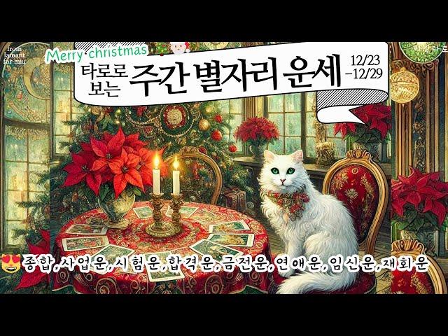 [타로/종합운]타로로 보는 주간 별자리운세(종합,사업운,시험운,합격운,금전운,연애운,재회운 등)12/23-12/29