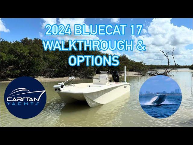 2024 BlueCat 17 Walkthrough & Options