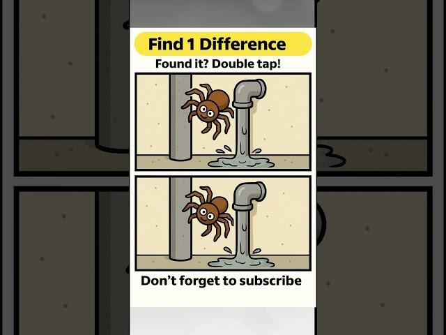 The Spider’s Climbing… But Something’s Not Right! ️