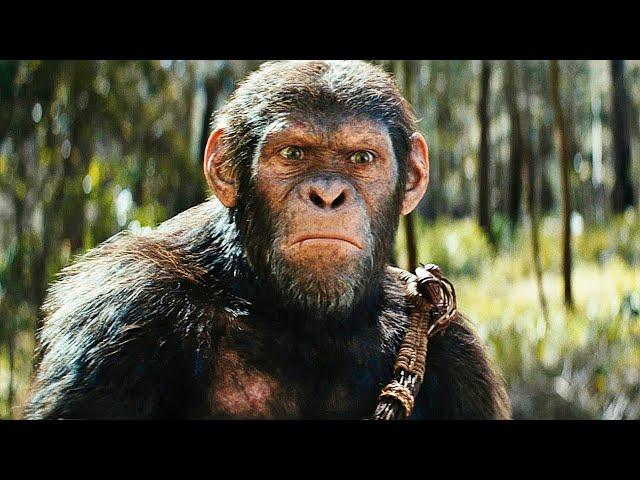 Kingdom of the Planet of the Apes — IMAX Trailer (2024)