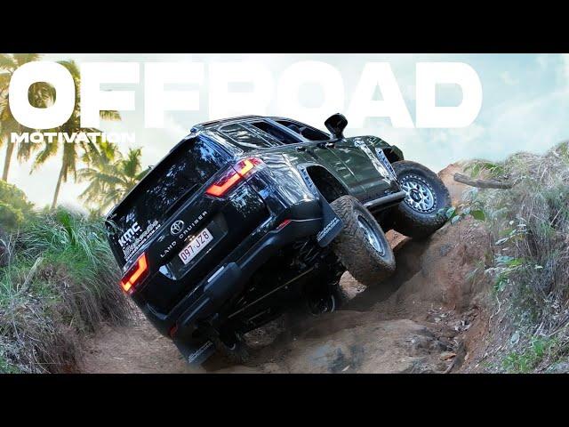 300 SERIES Offroad & BUILD compilation (2024)