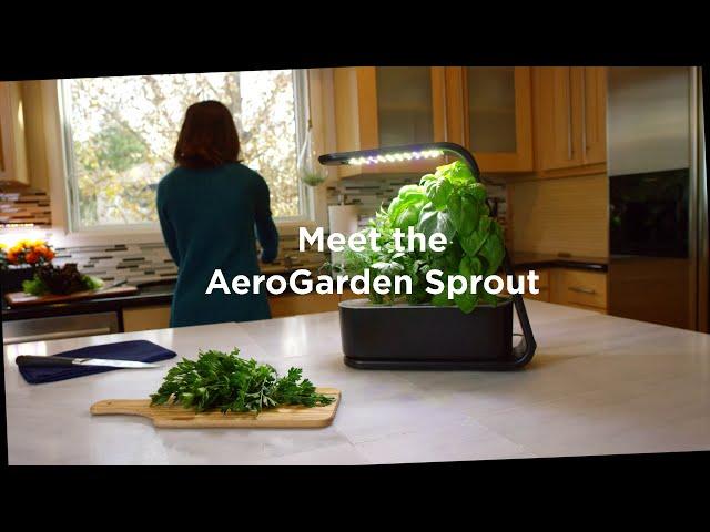 AeroGarden Sprout Product Video